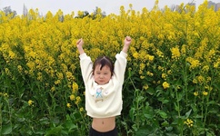 免费的成年私人影院网站